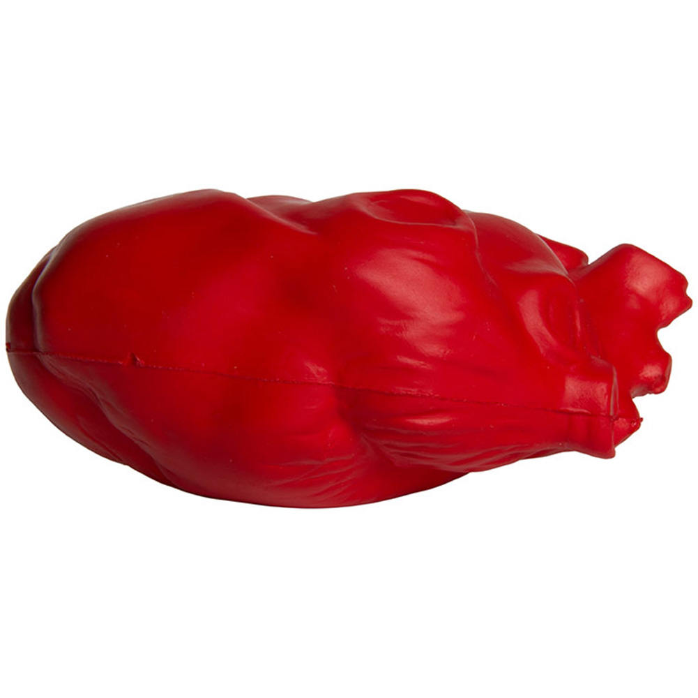 Picture of Heart (Anatomical) Squeezies® Stress Reliever