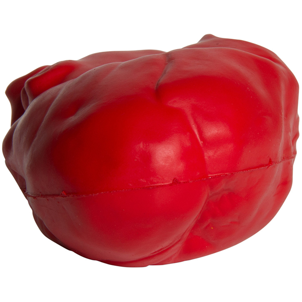 Picture of Heart (Anatomical) Squeezies® Stress Reliever