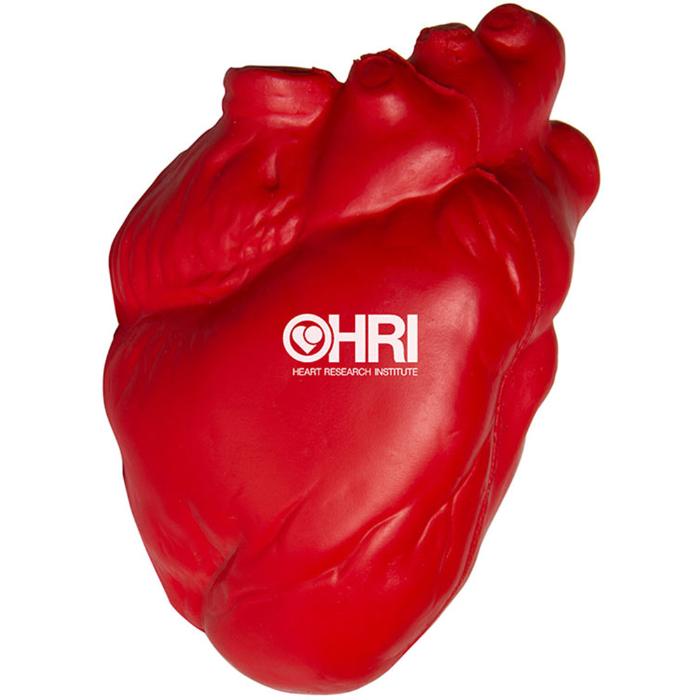 Picture of Heart (Anatomical) Squeezies® Stress Reliever
