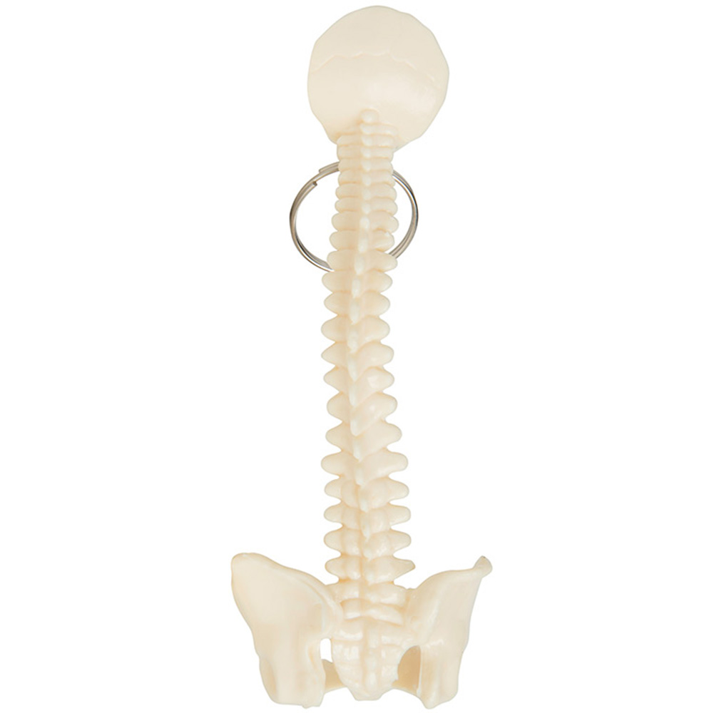 Picture of Spine Keyring