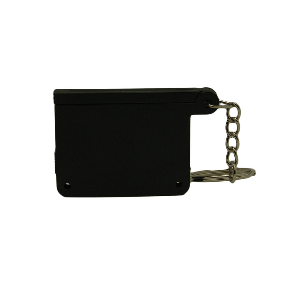 Picture of Hollywood Keyring