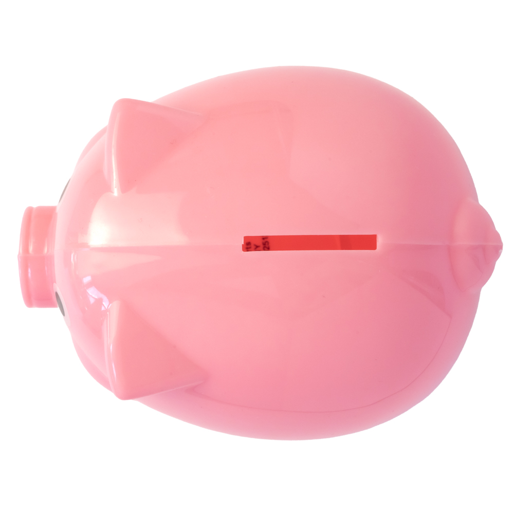 Picture of Piggy Bank