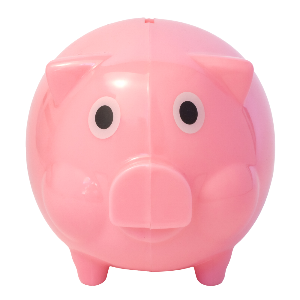 Picture of Piggy Bank