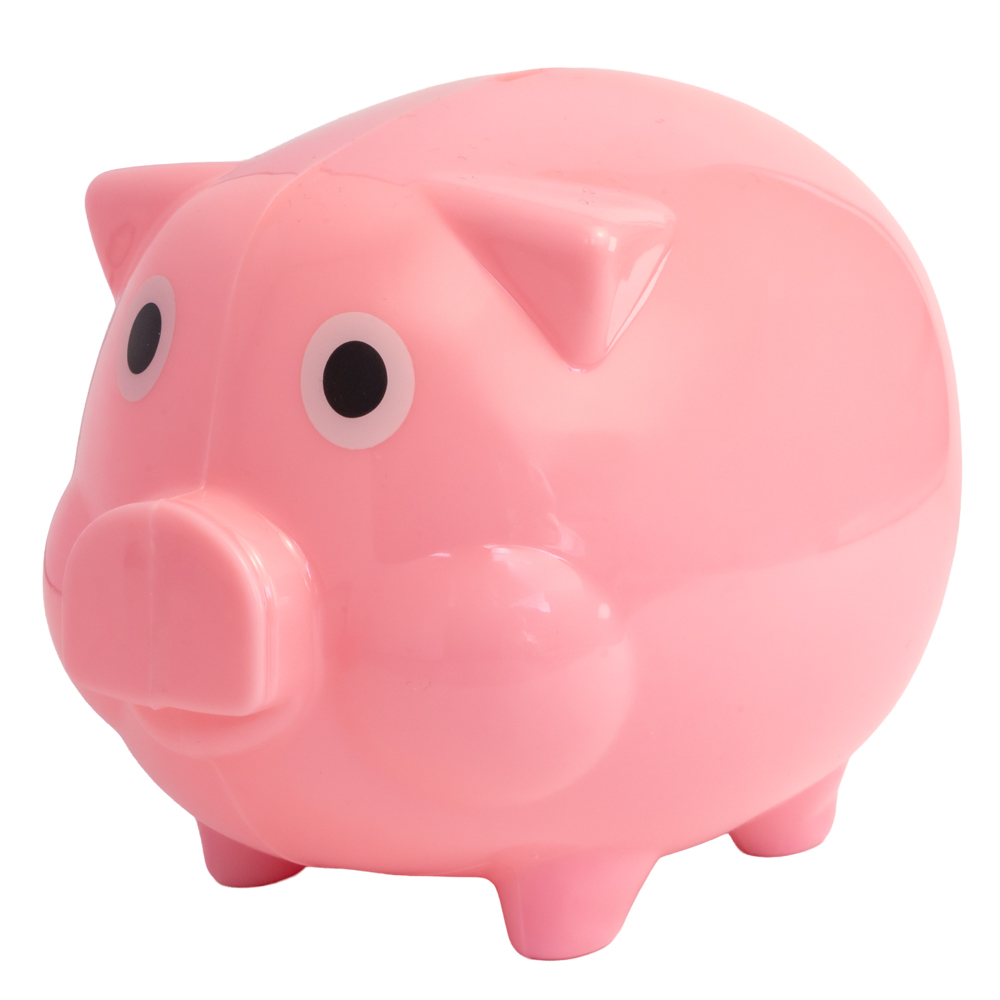 Picture of Piggy Bank