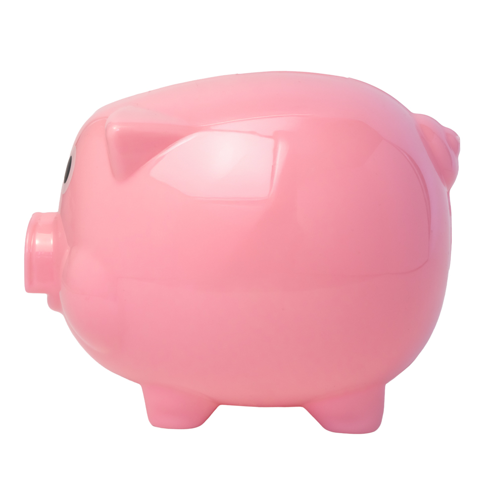 Picture of Piggy Bank