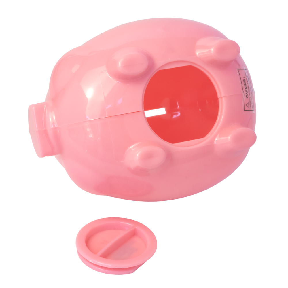 Picture of Piggy Bank