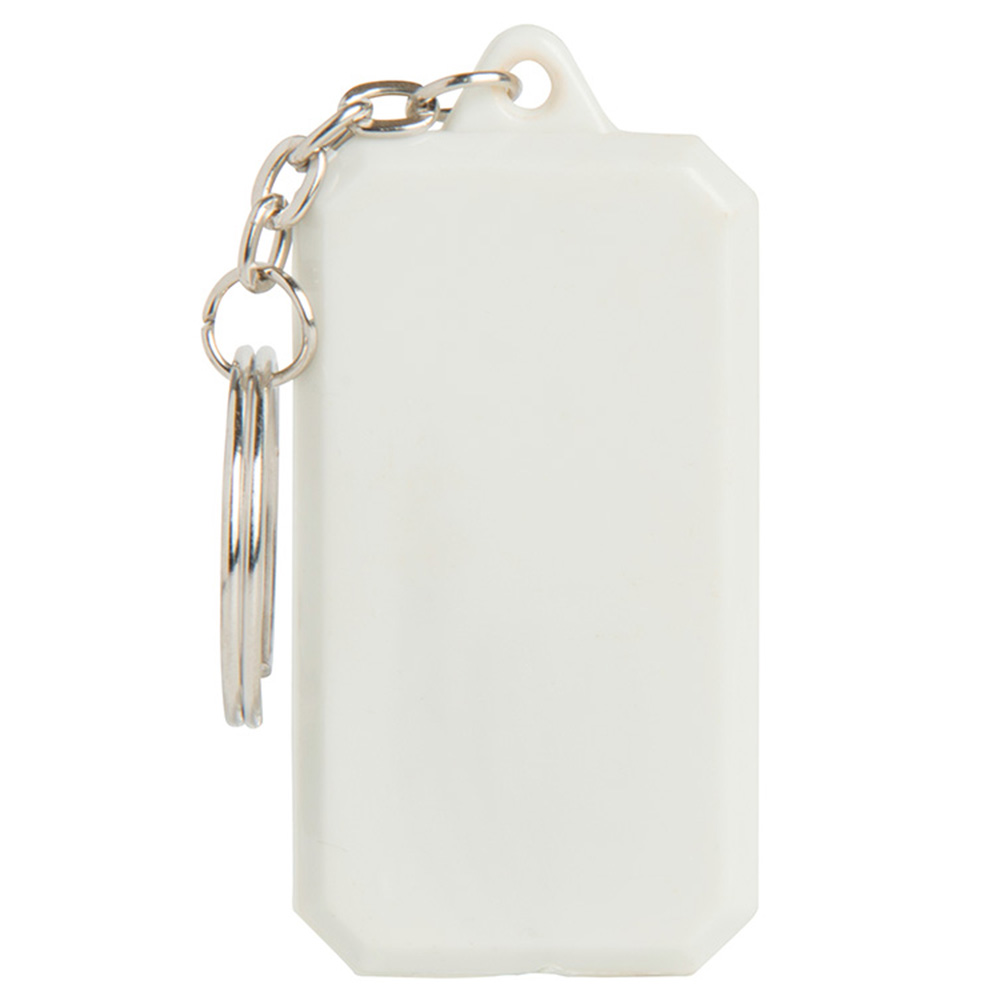 Picture of Compass Keyring