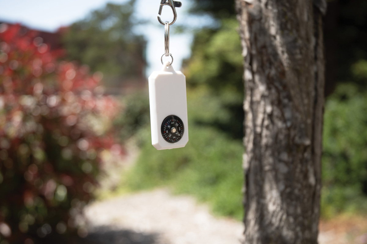 Picture of Compass Keyring