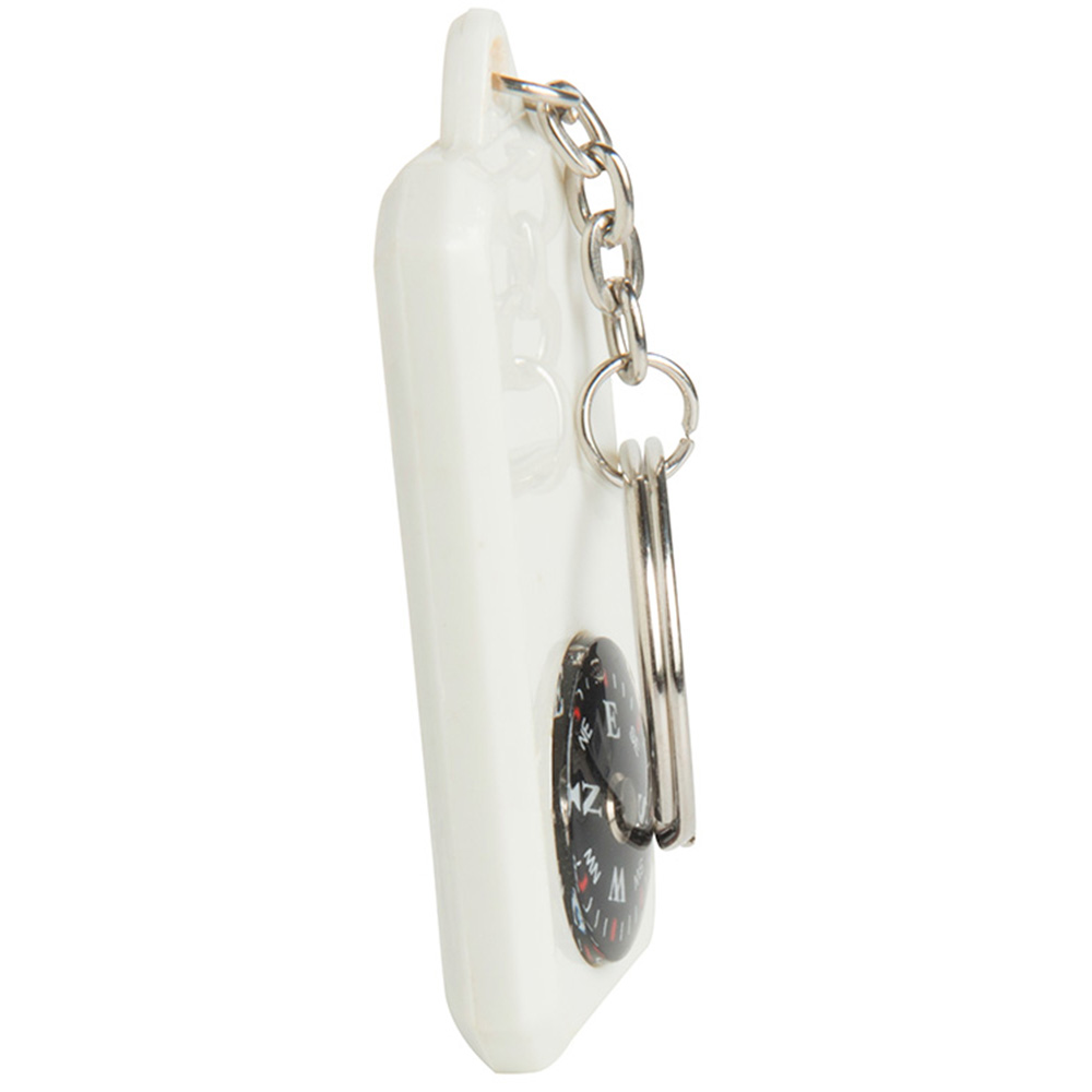 Picture of Compass Keyring