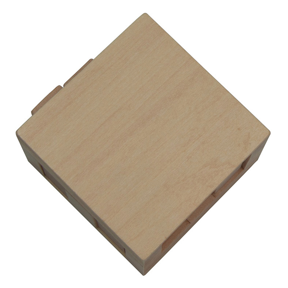 Picture of Sliding Cube Puzzle