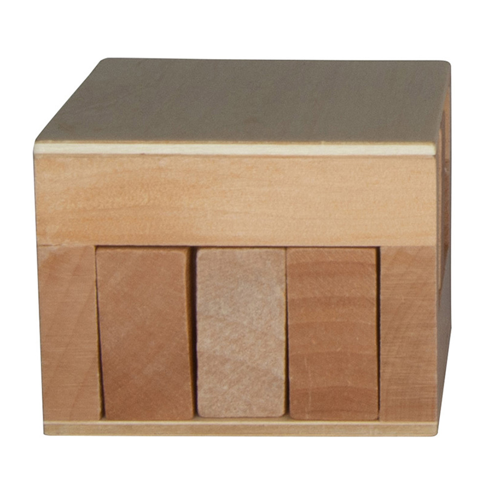 Picture of Sliding Cube Puzzle