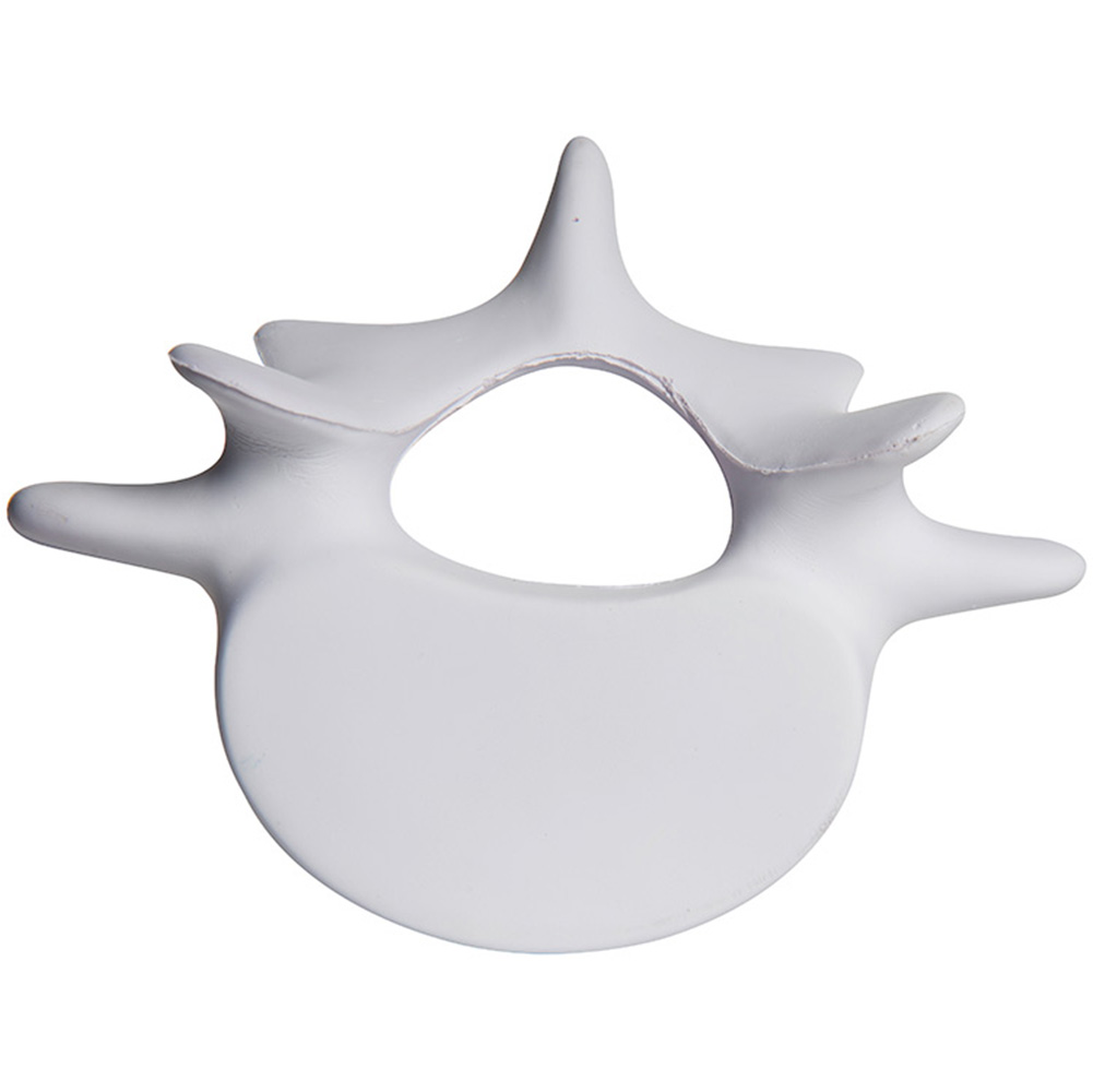 Picture of Vertebrae Squeezies® Stress Reliever
