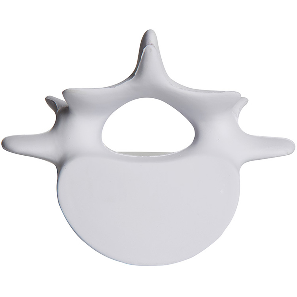 Picture of Vertebrae Squeezies® Stress Reliever