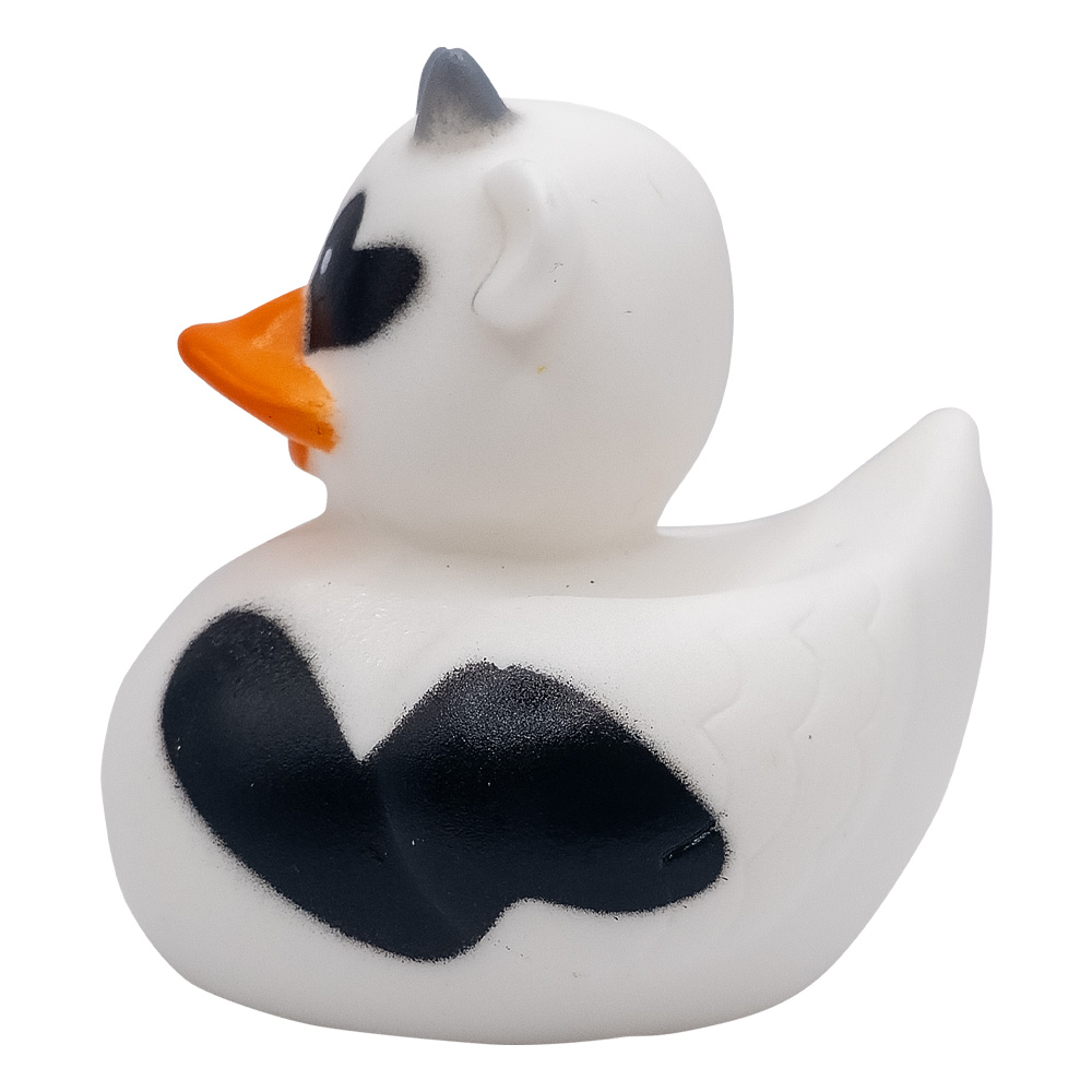 Picture of Mini Cow Duck