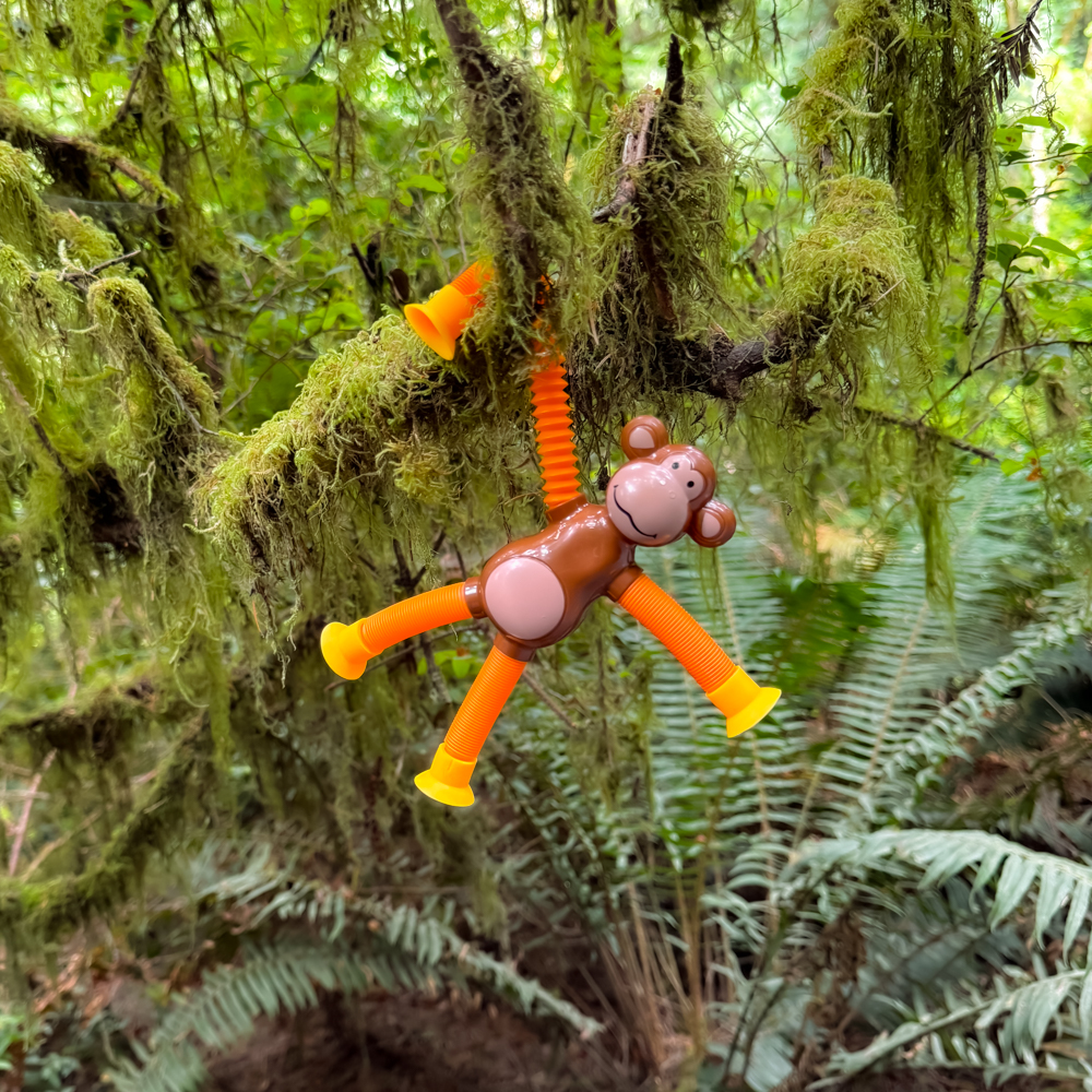 Picture of Monkey Bendy Man