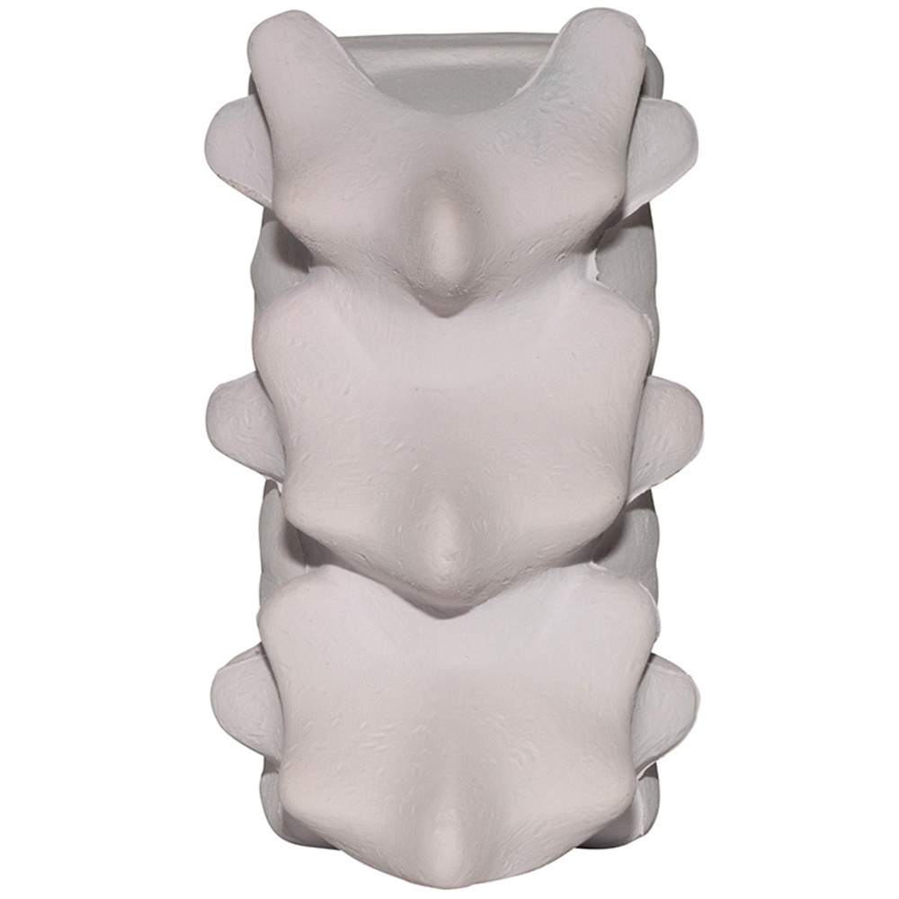 Picture of Spine Squeezies® Stress Reliever