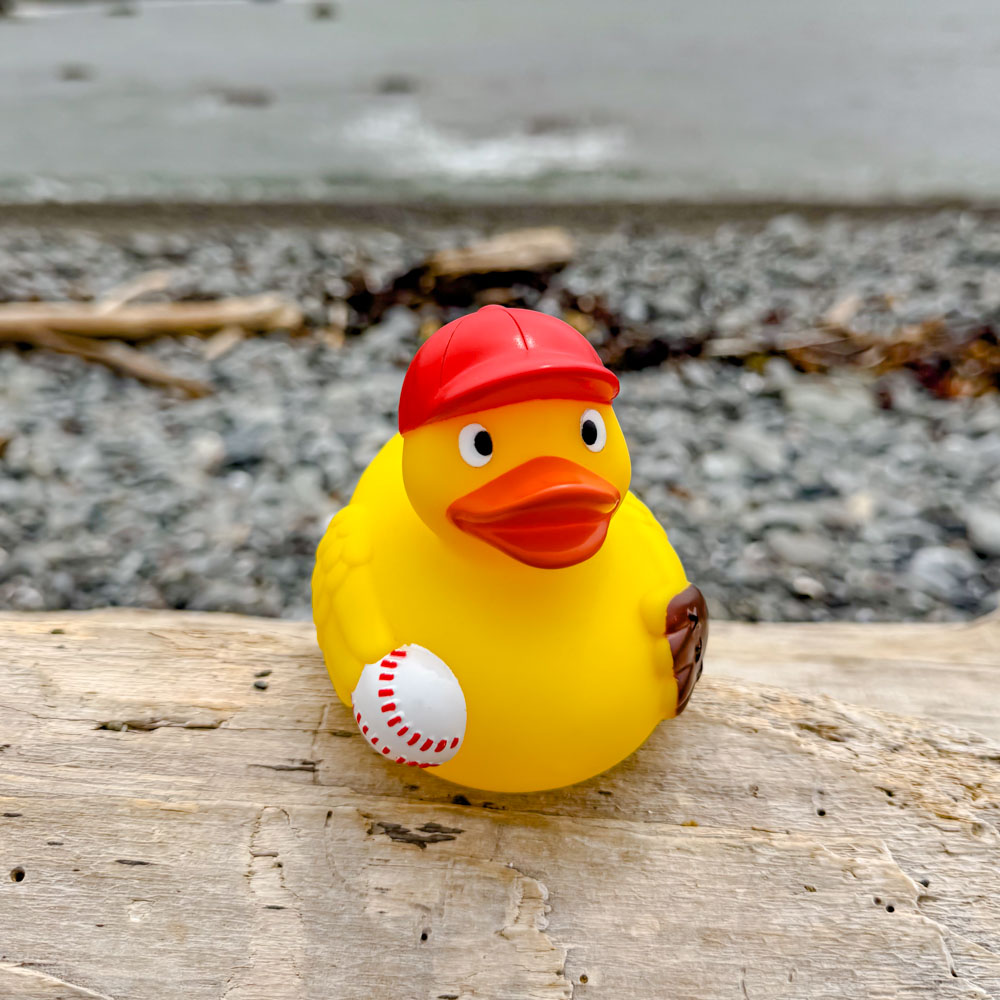 Picture of Baseball Duck