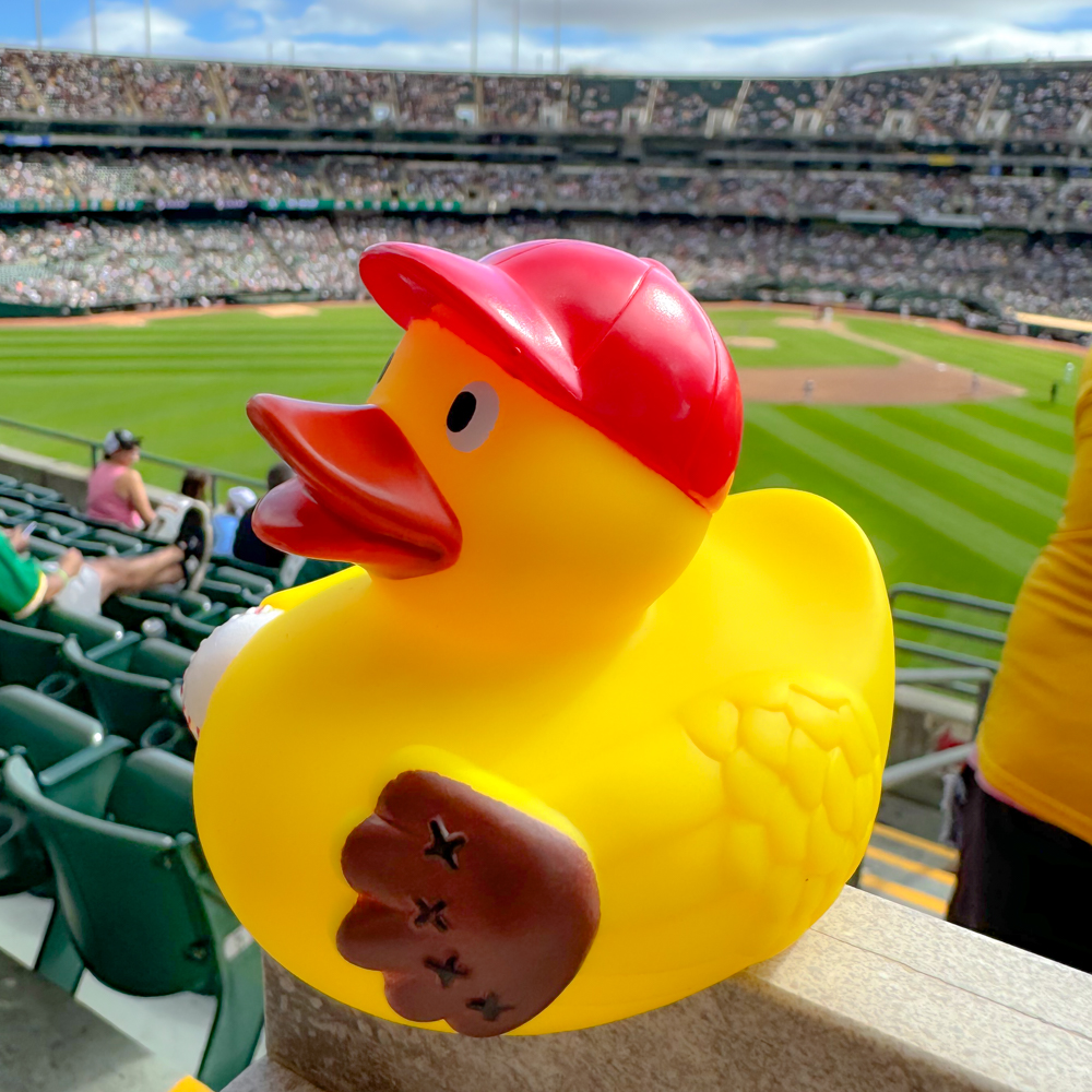 Picture of Baseball Duck