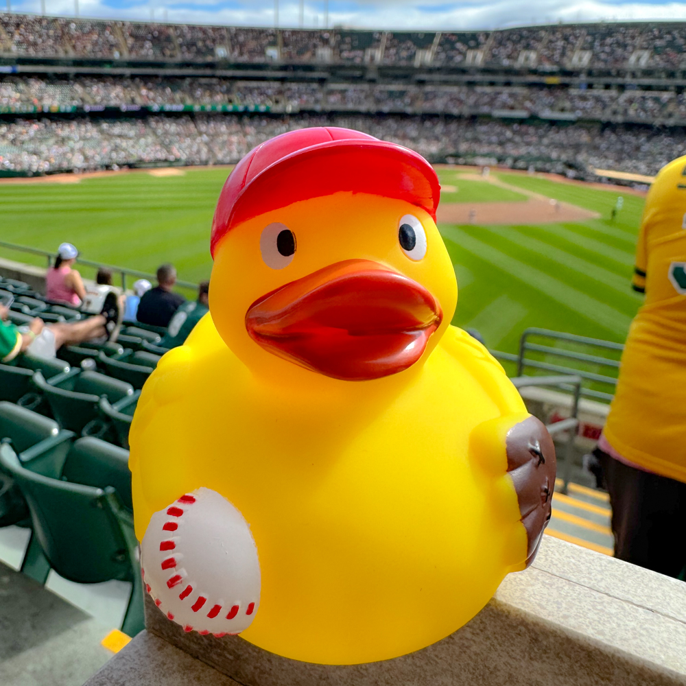 Picture of Baseball Duck