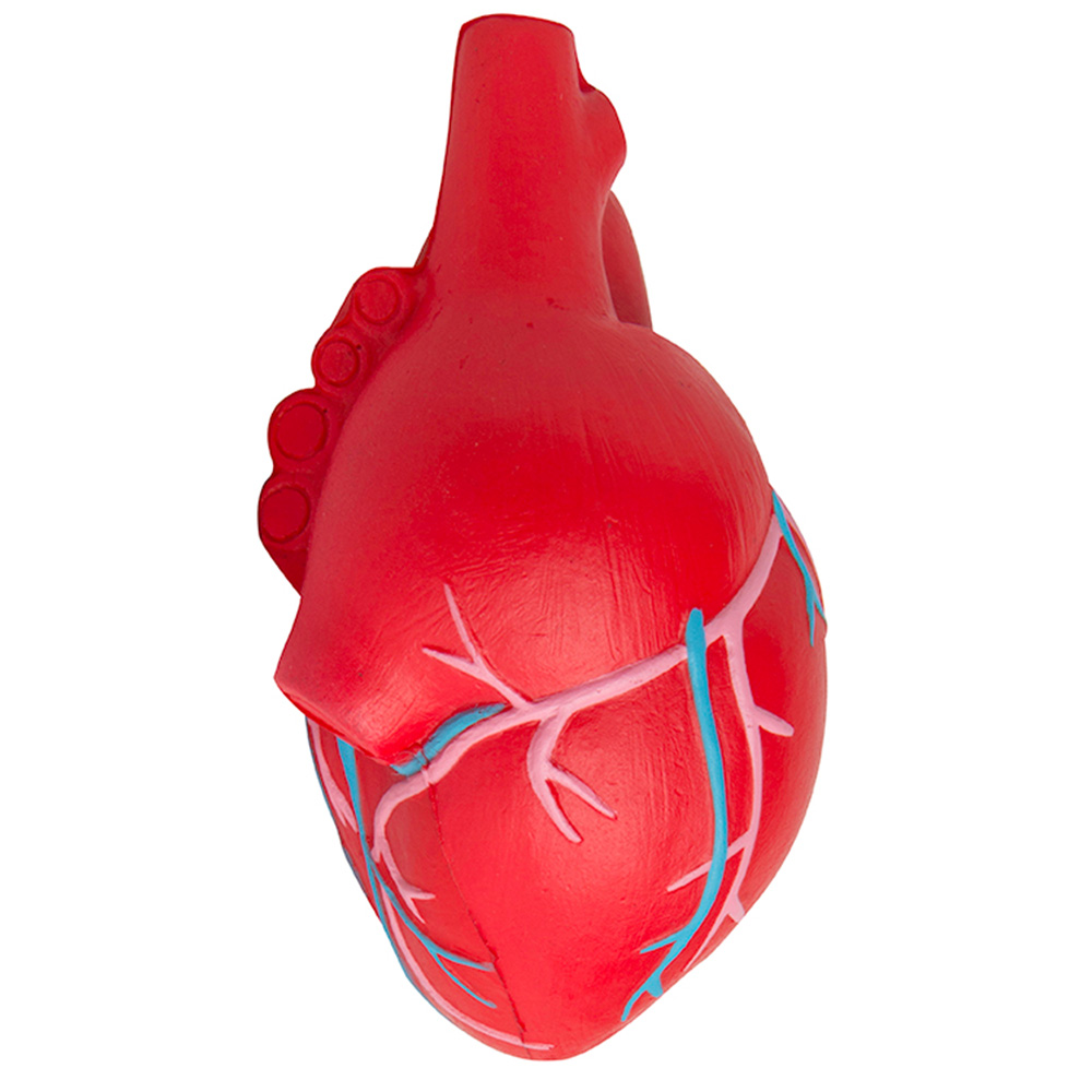 Picture of Heart (Anatomical w/Veins) Squeezies® Stress Reliever