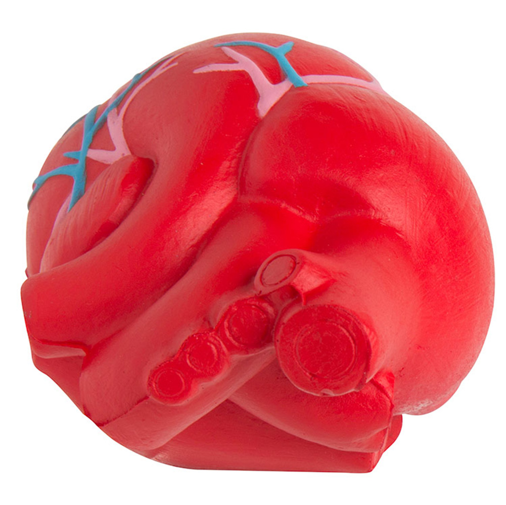 Picture of Heart (Anatomical w/Veins) Squeezies® Stress Reliever