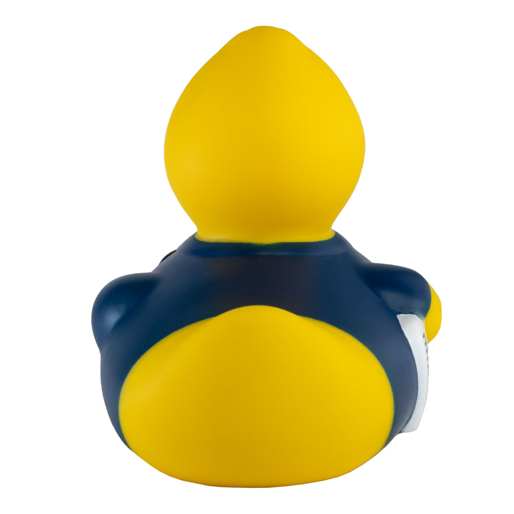 Picture of Business Duck