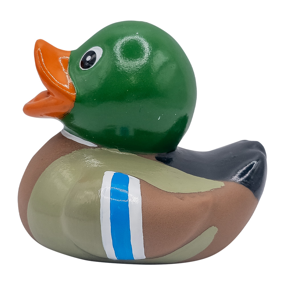 Picture of Mini Mallard Duck