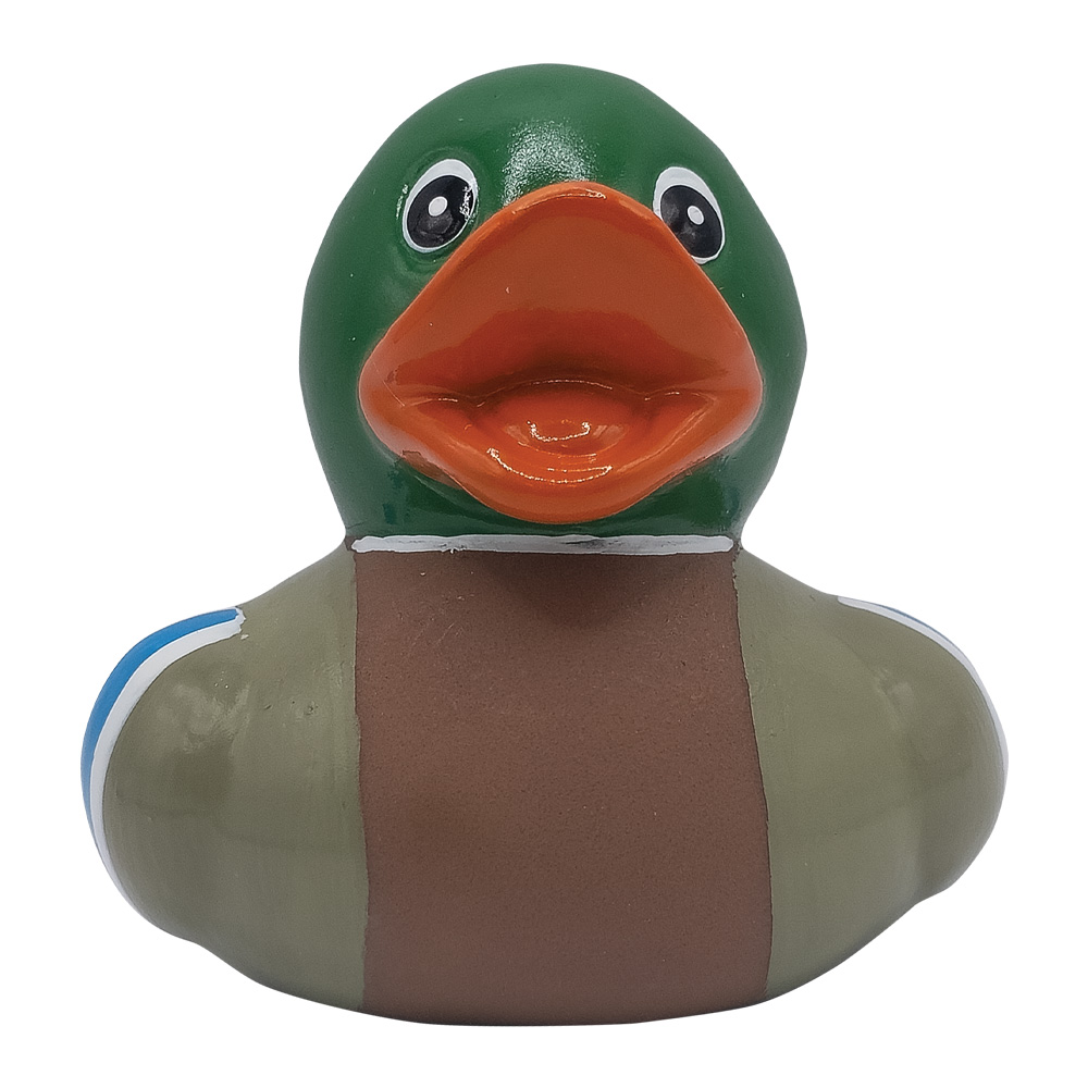 Picture of Mini Mallard Duck
