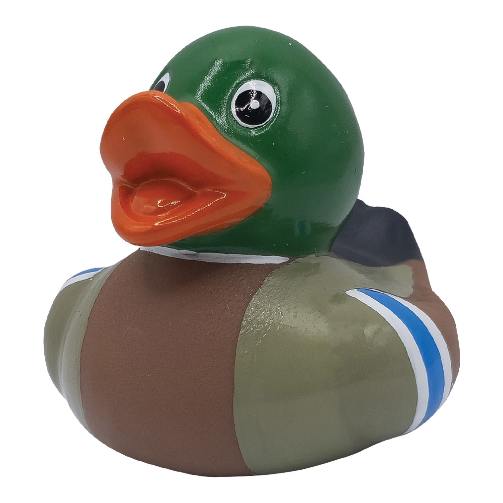 Picture of Mini Mallard Duck