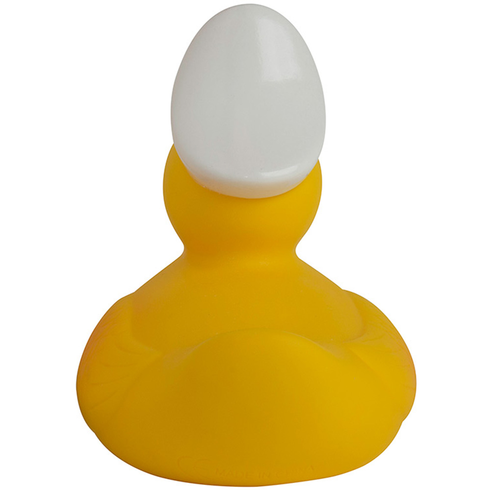 Picture of Captain Rubber Duck