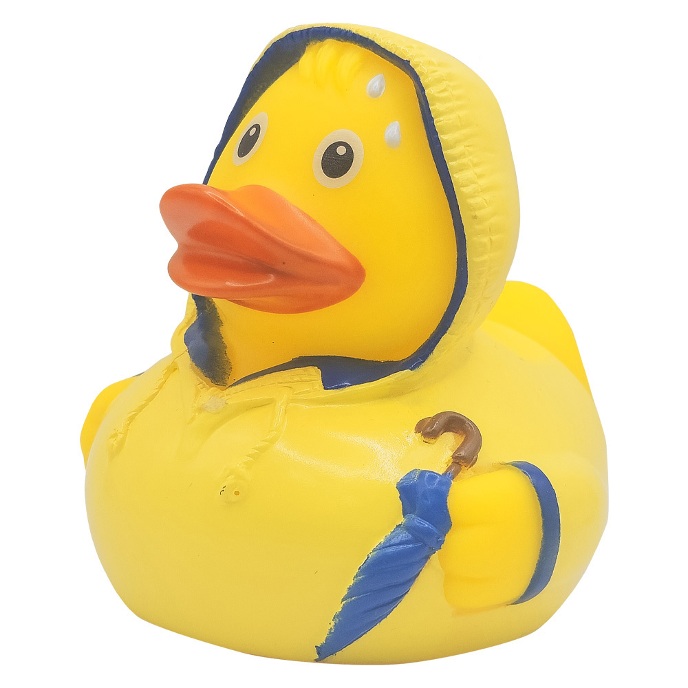 Picture of Bad Weather Duck
