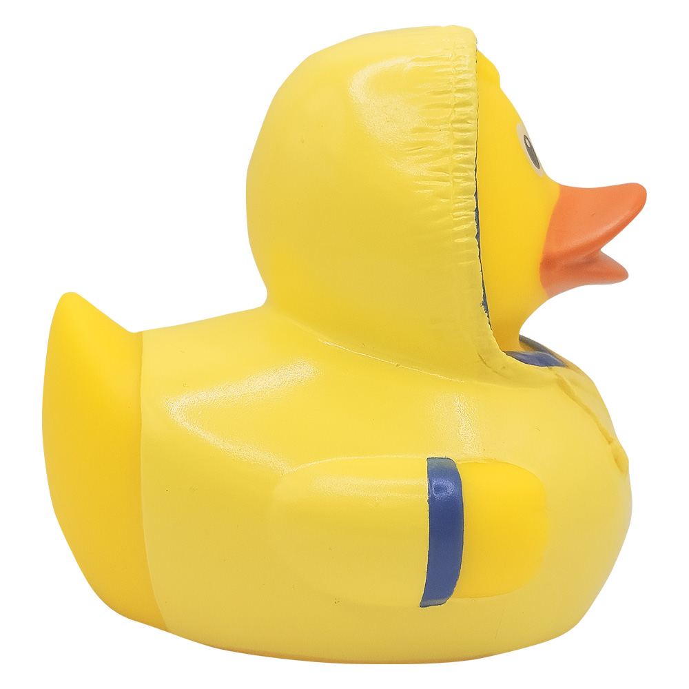 Picture of Bad Weather Duck