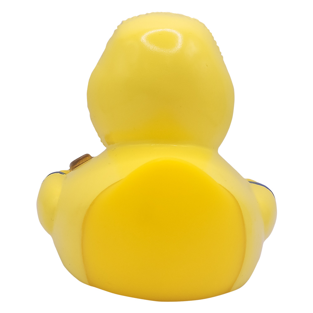 Picture of Bad Weather Duck