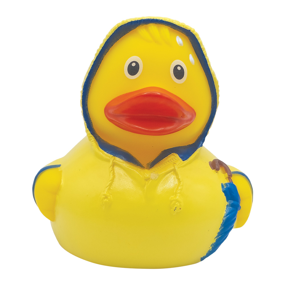 Picture of Bad Weather Duck