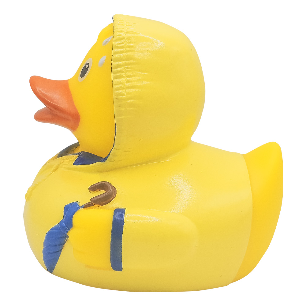 Picture of Bad Weather Duck