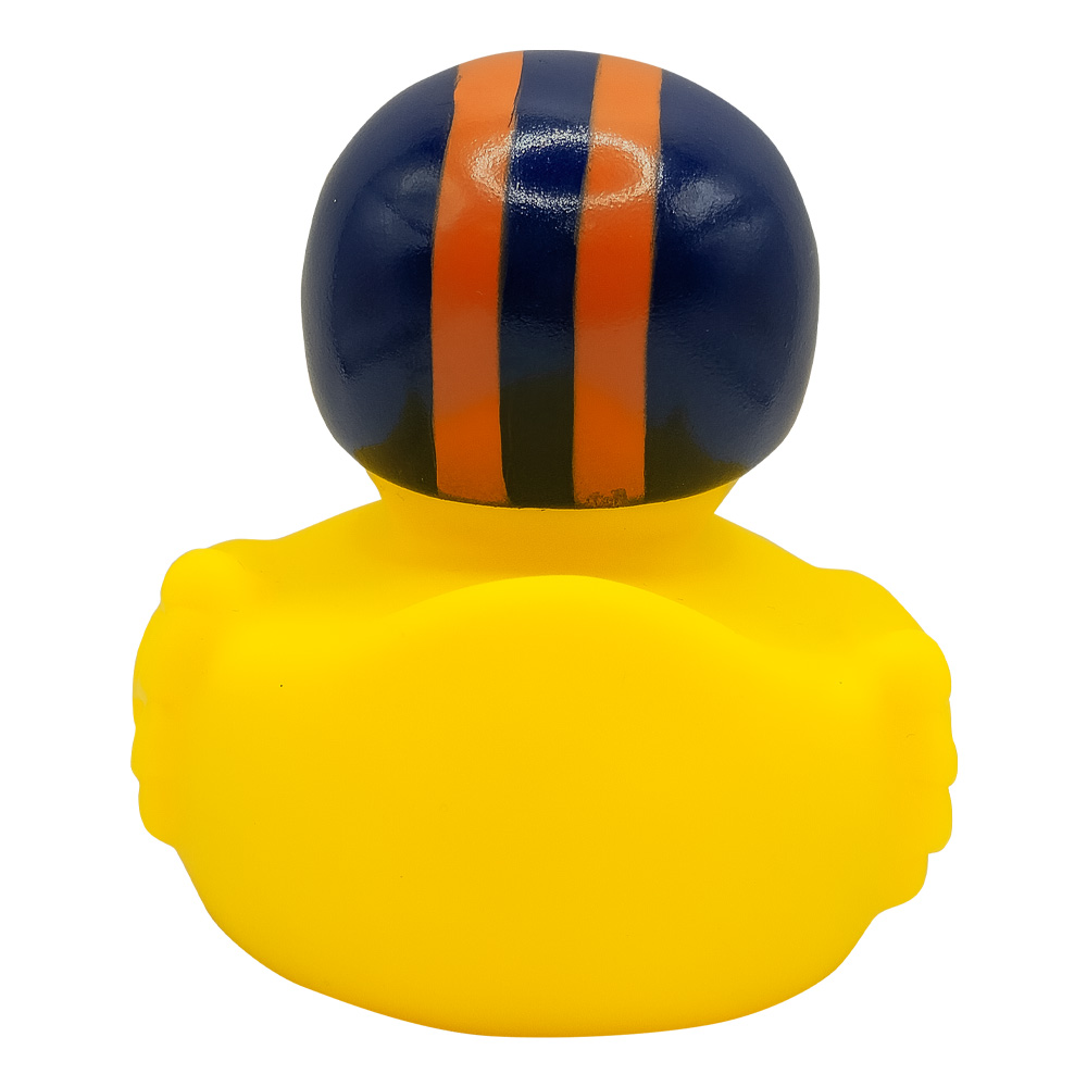Picture of Football Duck
