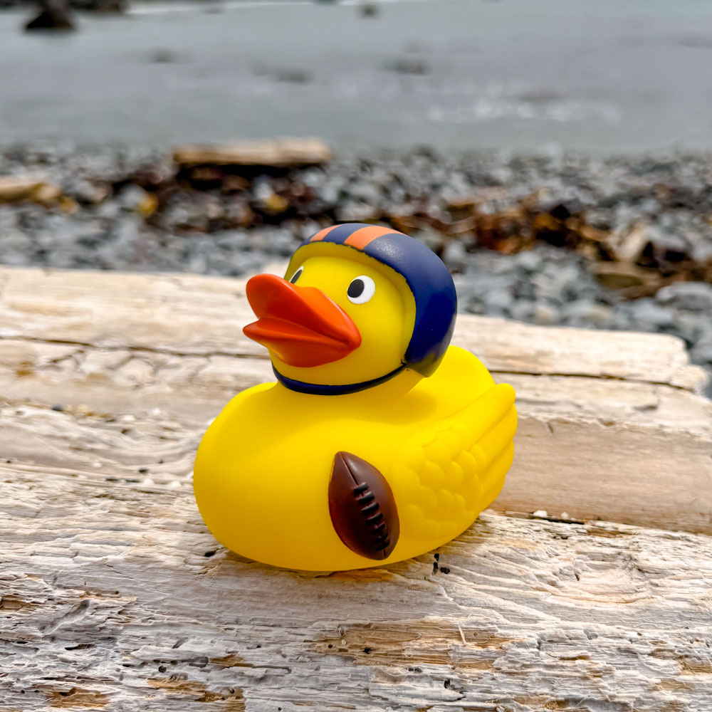 Picture of Football Duck
