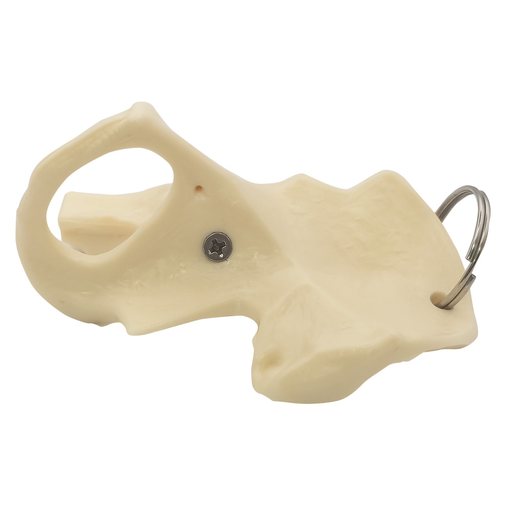 Picture of Hip Keyring