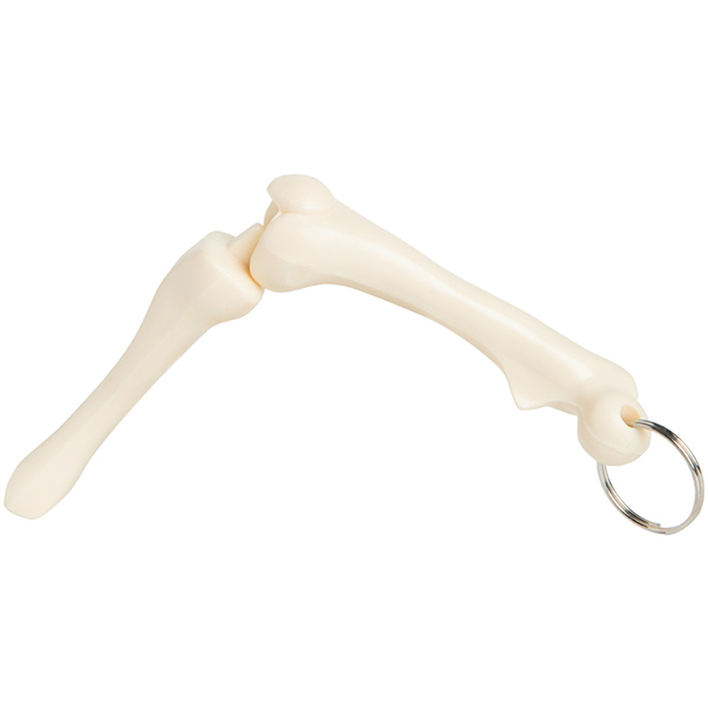 Picture of Knee Joint Keyring
