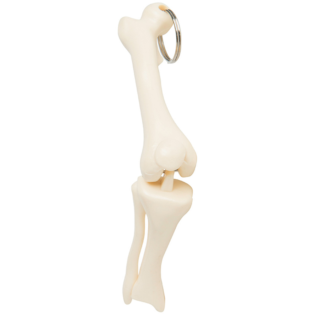 Picture of Knee Joint Keyring