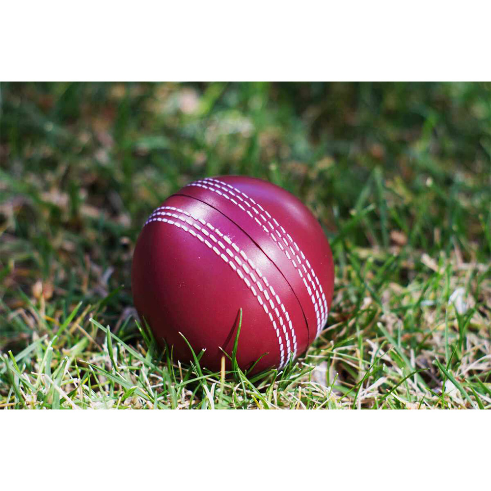 Picture of Cricket Squeezies® Stress Ball