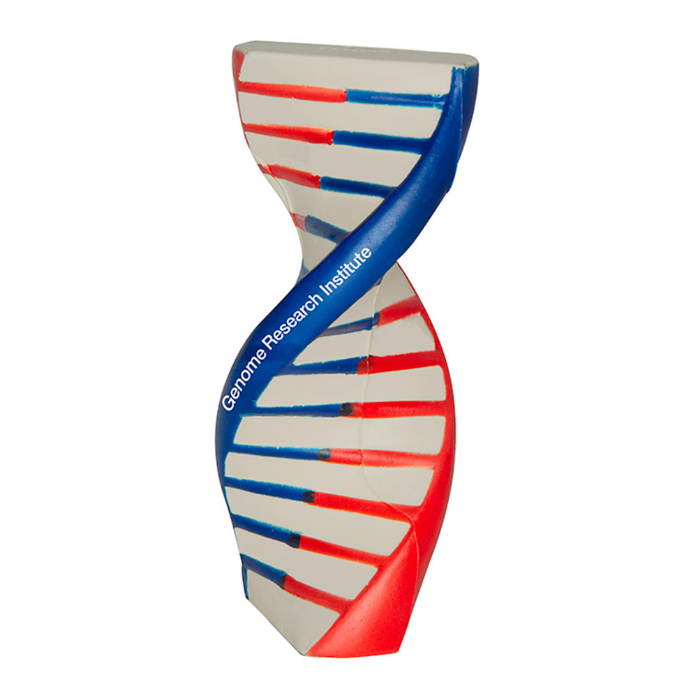 Picture of DNA Squeezies® Stress Reliever