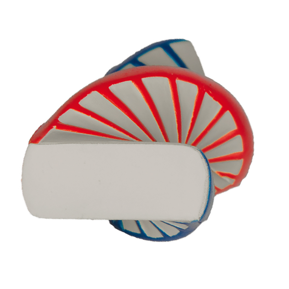 Picture of DNA Squeezies® Stress Reliever