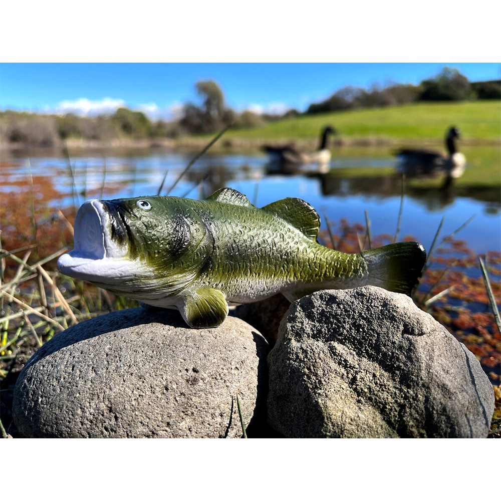 Picture of Bass Fish Stress Reliever