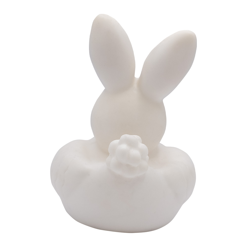 Picture of Mini Bunny Duck