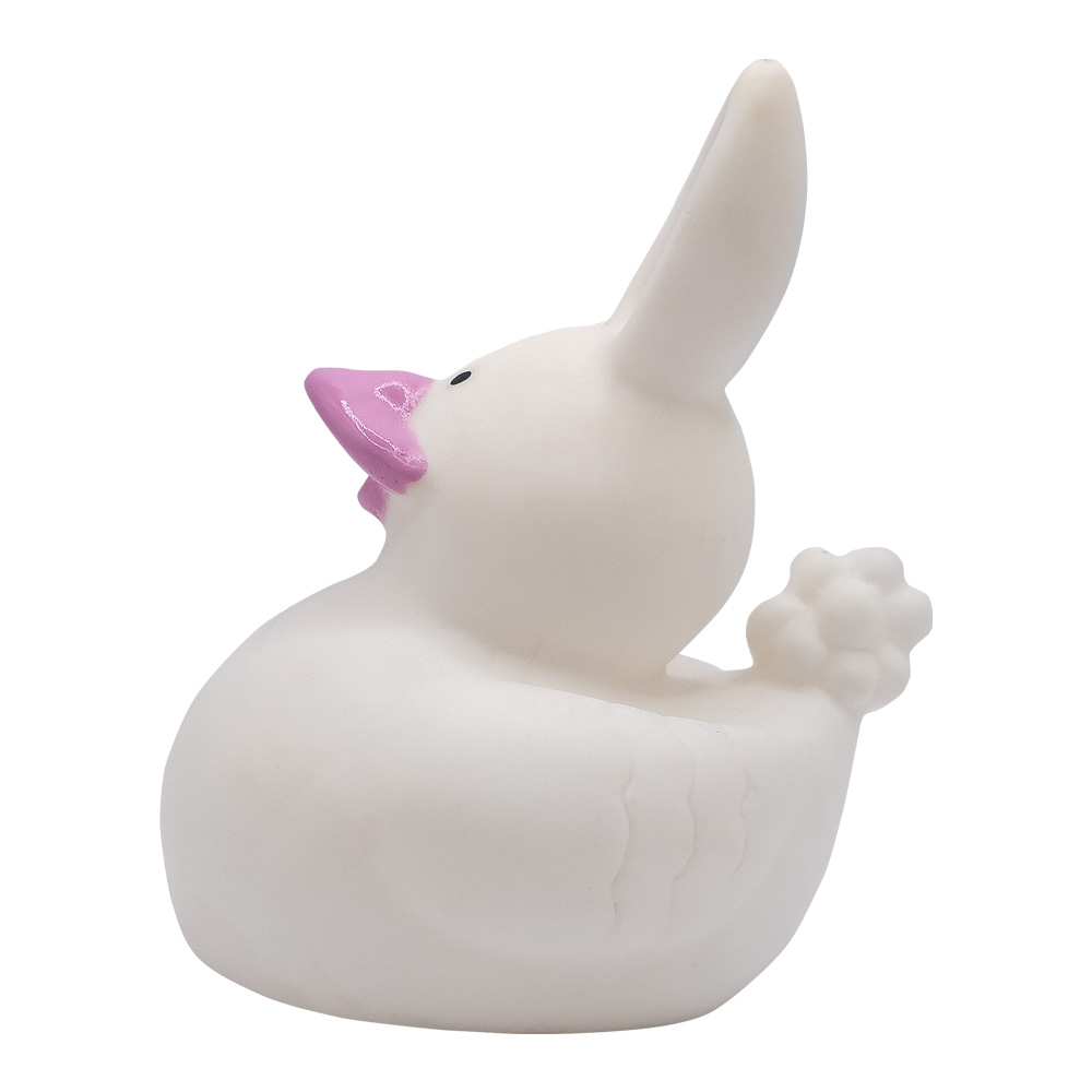 Picture of Mini Bunny Duck