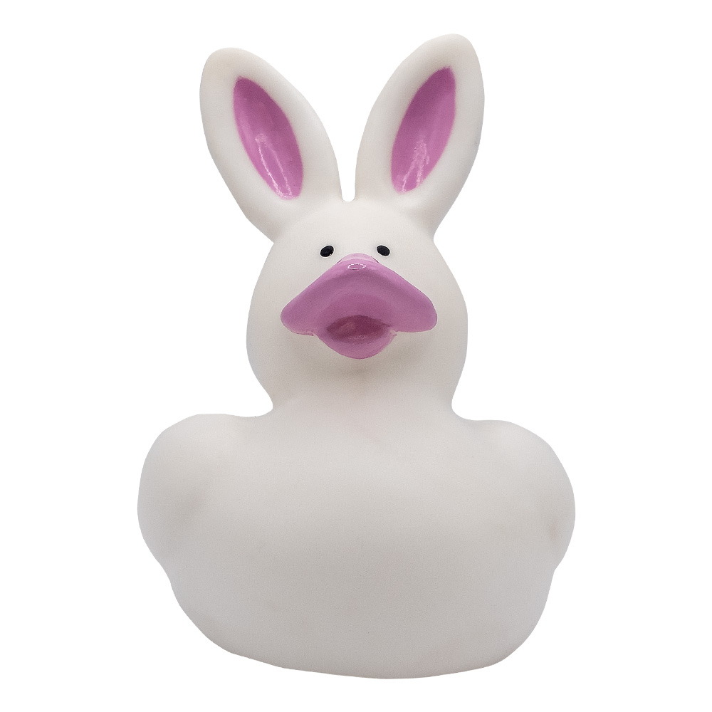 Picture of Mini Bunny Duck