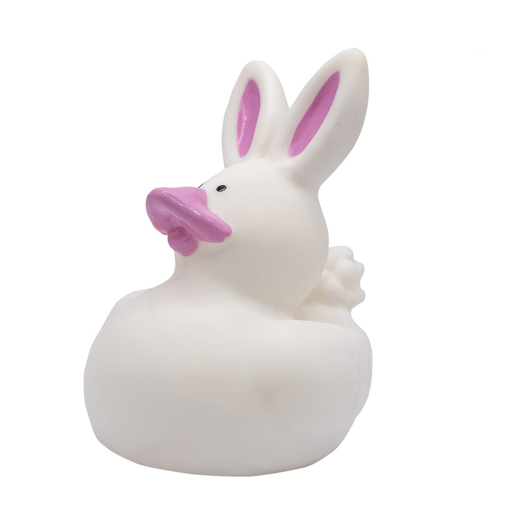 Picture of Mini Bunny Duck
