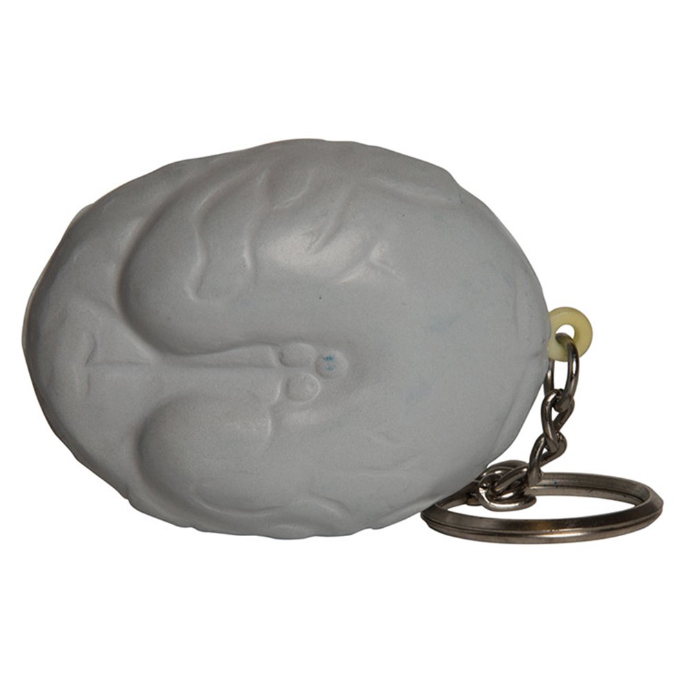 Picture of Gray Brain Squeezies® Stress Reliever Key Ring