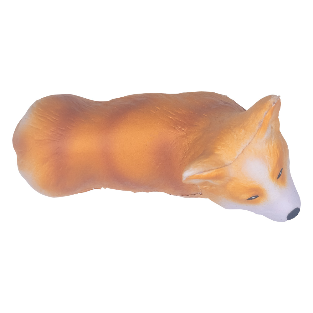 Picture of Corgi